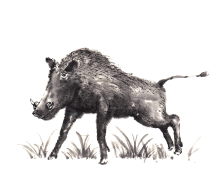 �M�C���X�g�E���x�V���[�Y�u��N�v�i���̂���1�j