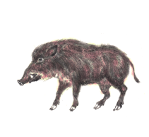 �M�C���X�g�E���x�V���[�Y�u��N�v�i���̂���2�j