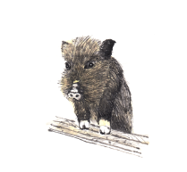 �M�C���X�g�E���x�V���[�Y�u��N�v�i���̂���3�j