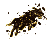 �M�C���X�g�E���x�V���[�Y�u���N�v�i�h�[�x���}���j