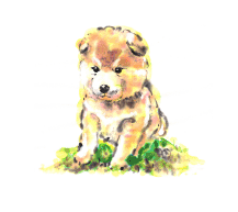 �M�C���X�g�E���x�V���[�Y�u���N�v�i�Č��j