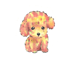 �M�C���X�g�E���x�V���[�Y�u���N�v�i�g�C�v�[�h���j