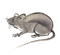 �M�C���X�g�E���x�V���[�Y�u�q�N�v�i�˂���6�j