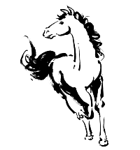 �n�C���X�g