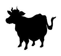 �M�C���X�g�E���x�V���[�Y�u�N�N�v�i����12�j