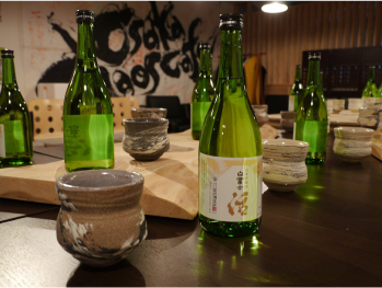 ���P�C�I�X�J�t�F2